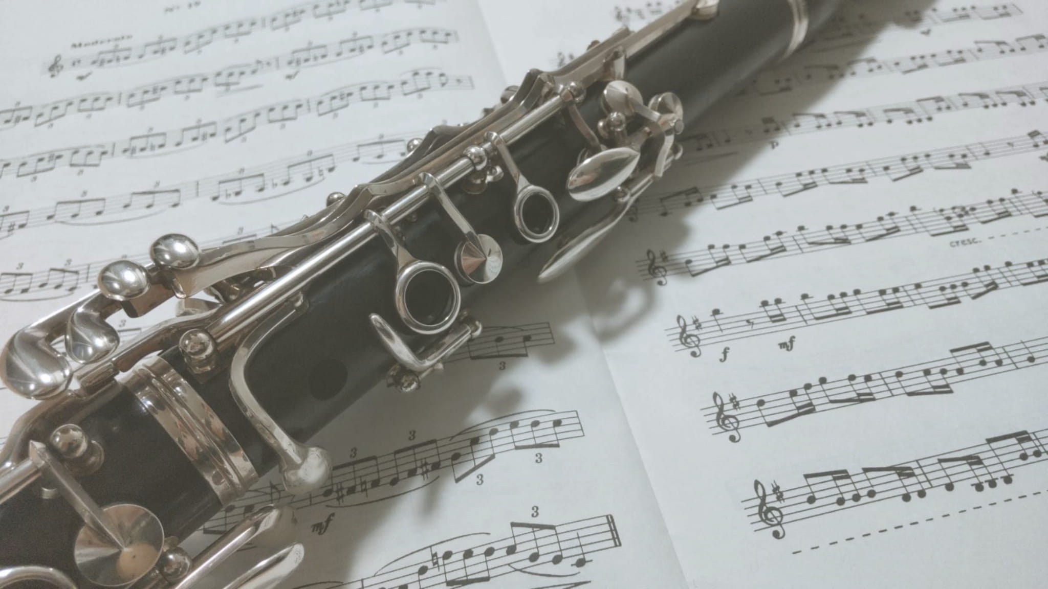 プライバシーポリシーのメインビュー